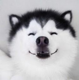 我的0********* - 